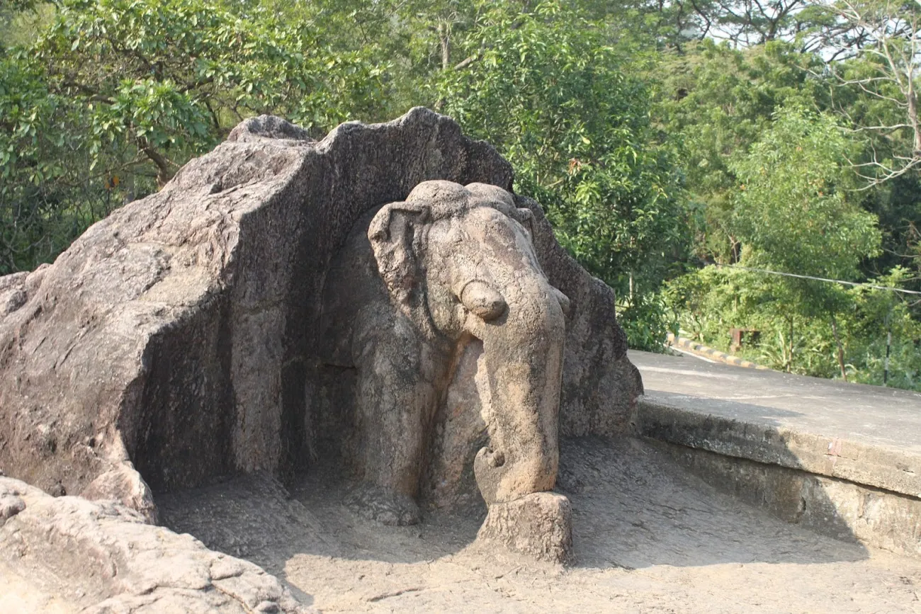 Dhauli
