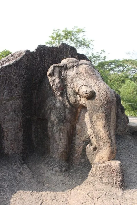 Dhauli